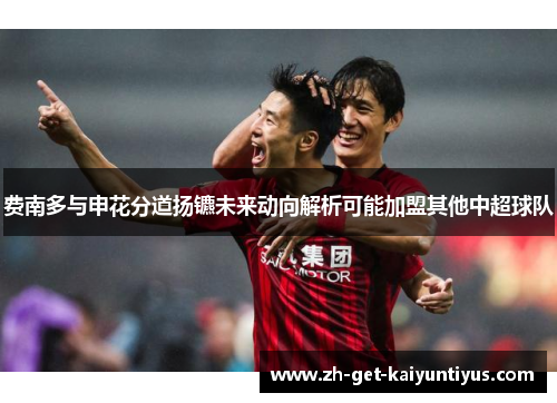 费南多与申花分道扬镳未来动向解析可能加盟其他中超球队 费南多与申花分道扬镳未来动向解析可能加盟其他中超球队