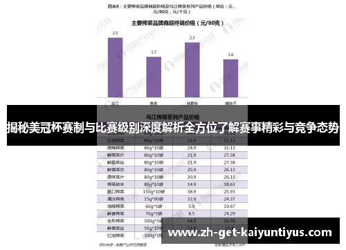 揭秘美冠杯赛制与比赛级别深度解析全方位了解赛事精彩与竞争态势 揭秘美冠杯赛制与比赛级别深度解析全方位了解赛事精彩与竞争态势