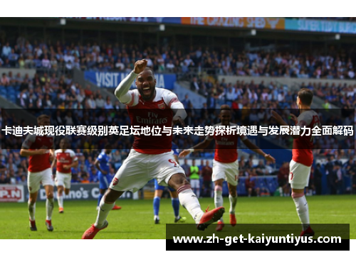 卡迪夫城现役联赛级别英足坛地位与未来走势探析境遇与发展潜力全面解码 卡迪夫城现役联赛级别英足坛地位与未来走势探析境遇与发展潜力全面解码