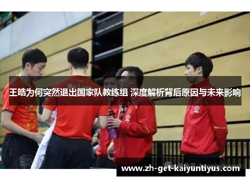 王皓为何突然退出国家队教练组 深度解析背后原因与未来影响 王皓为何突然退出国家队教练组 深度解析背后原因与未来影响