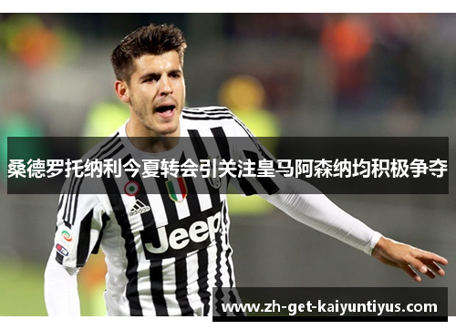 桑德罗托纳利今夏转会引关注皇马阿森纳均积极争夺 桑德罗托纳利今夏转会引关注皇马阿森纳均积极争夺