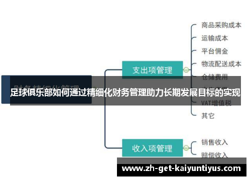 足球俱乐部如何通过精细化财务管理助力长期发展目标的实现
