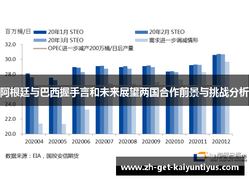 阿根廷与巴西握手言和未来展望两国合作前景与挑战分析